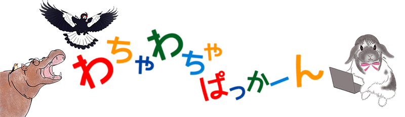 わちゃわちゃぱっかーん合同会社